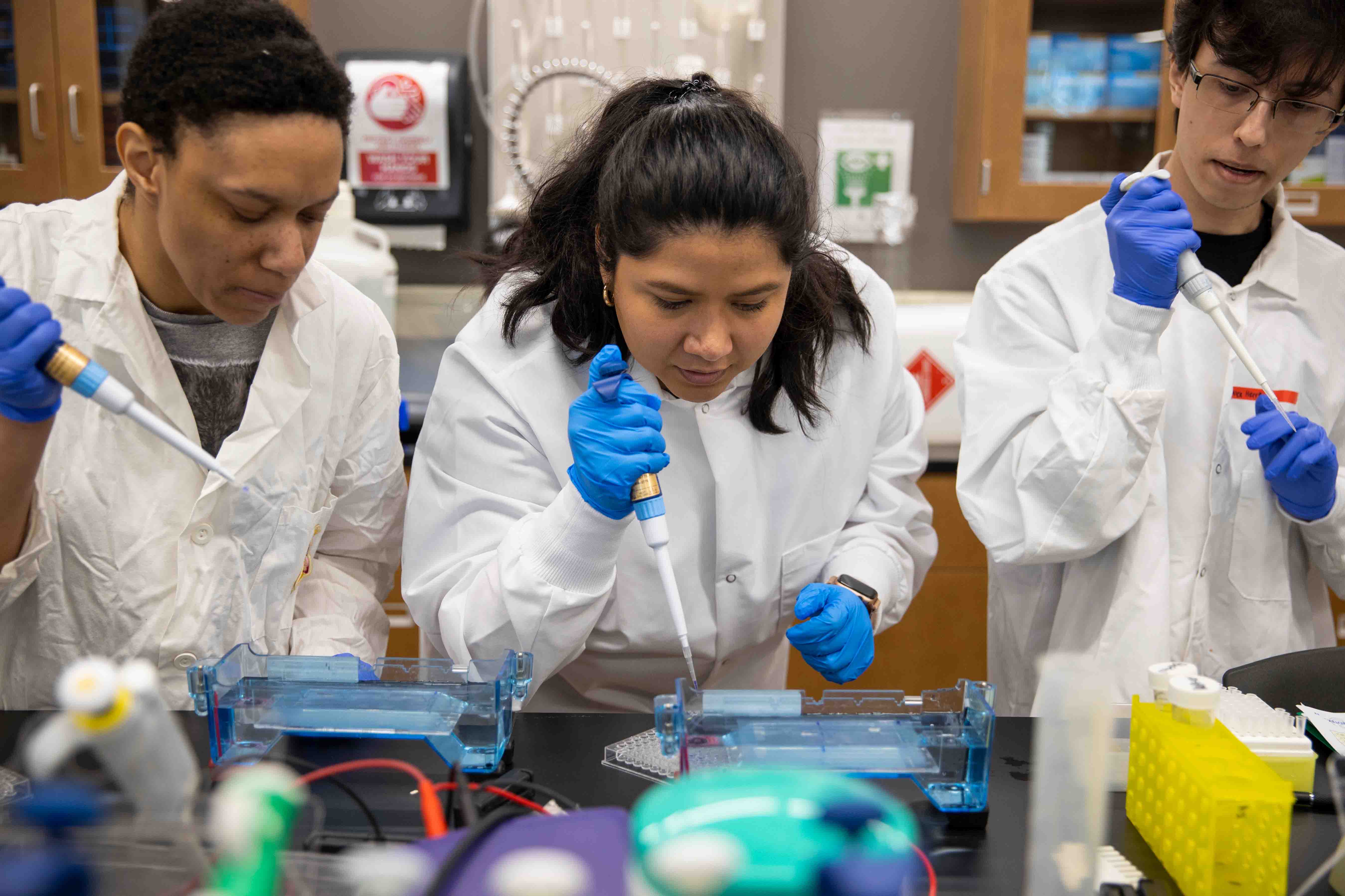 students in biology class