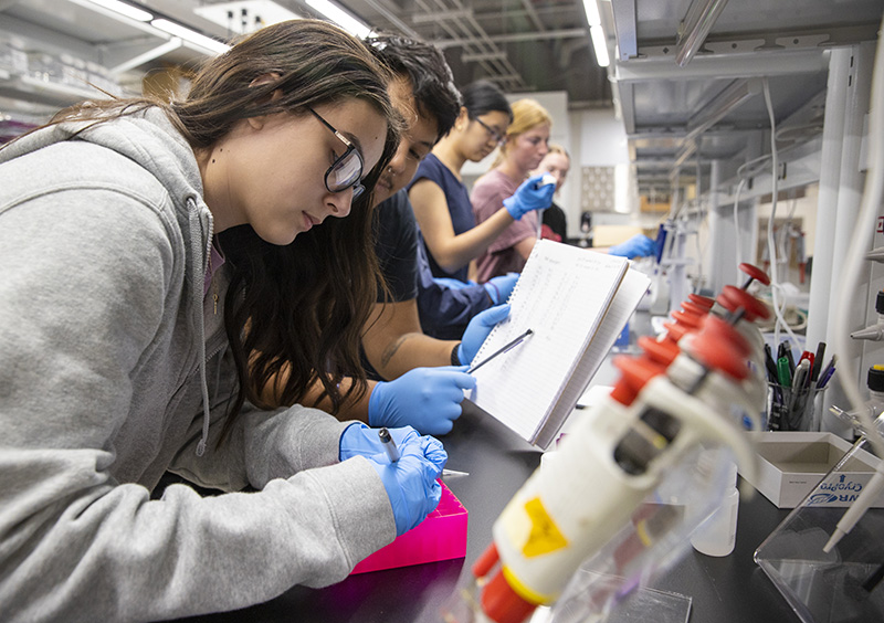 student analyzing water samples