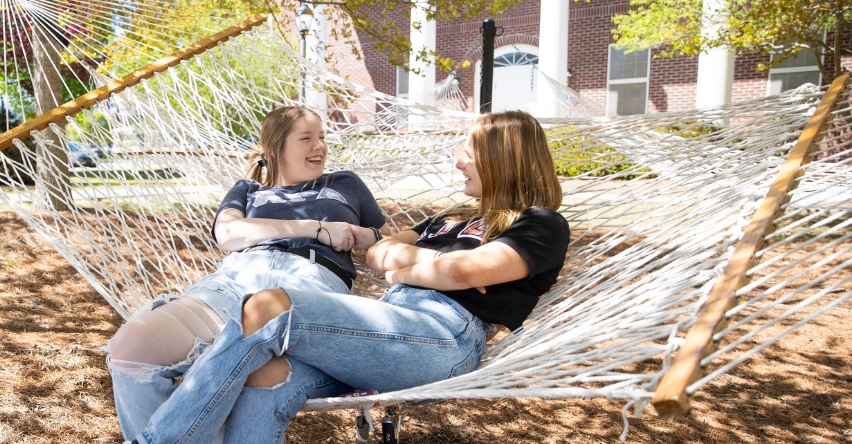 dogs with wolf statue
